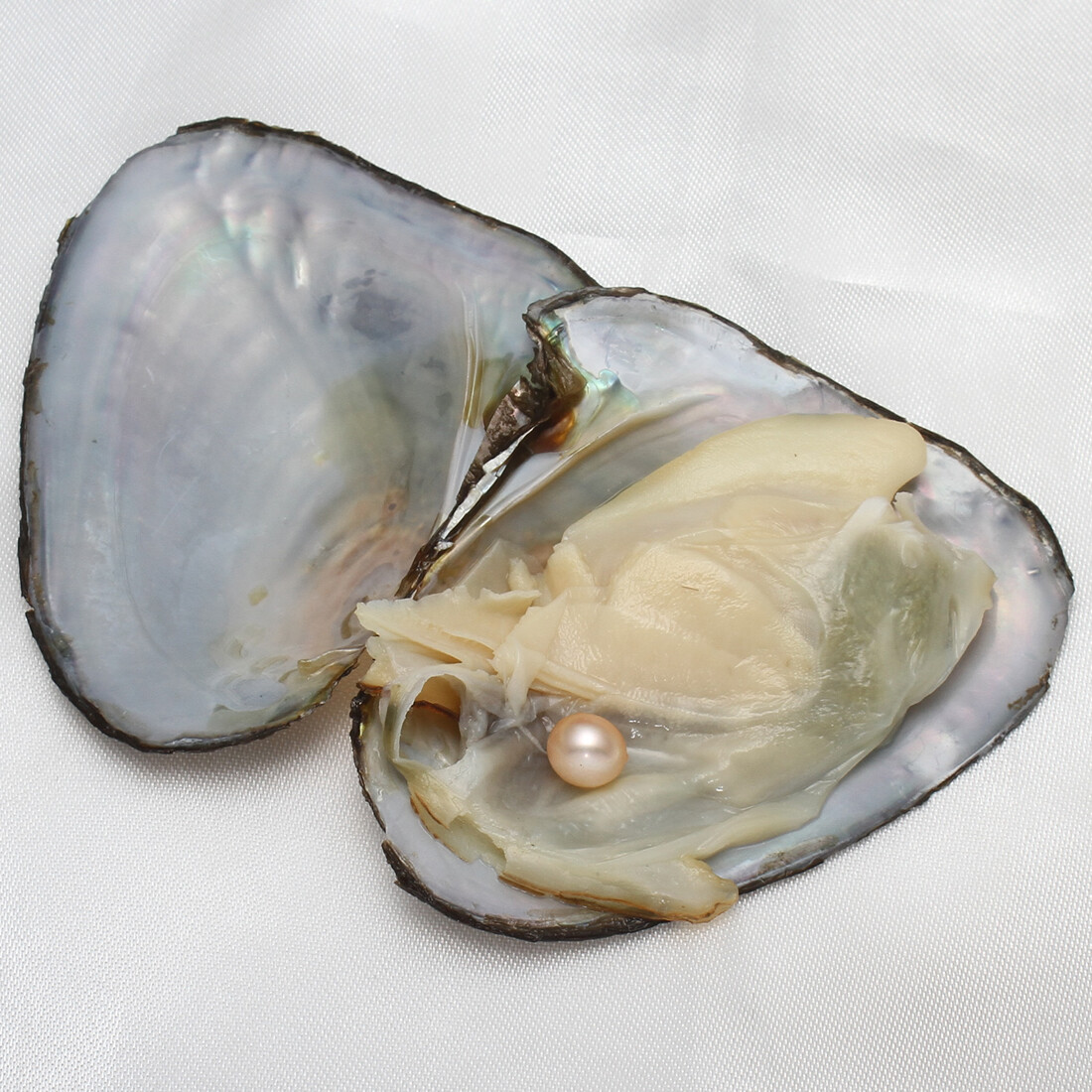 Freshwater/ Akoyas Oyster Natural Pearl Bulk Cultured Round/ Oval 10-50pcs 7-8mm