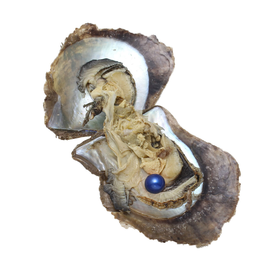 Freshwater/ Akoyas Oyster Natural Pearl Bulk Cultured Round/ Oval 10-50pcs 7-8mm