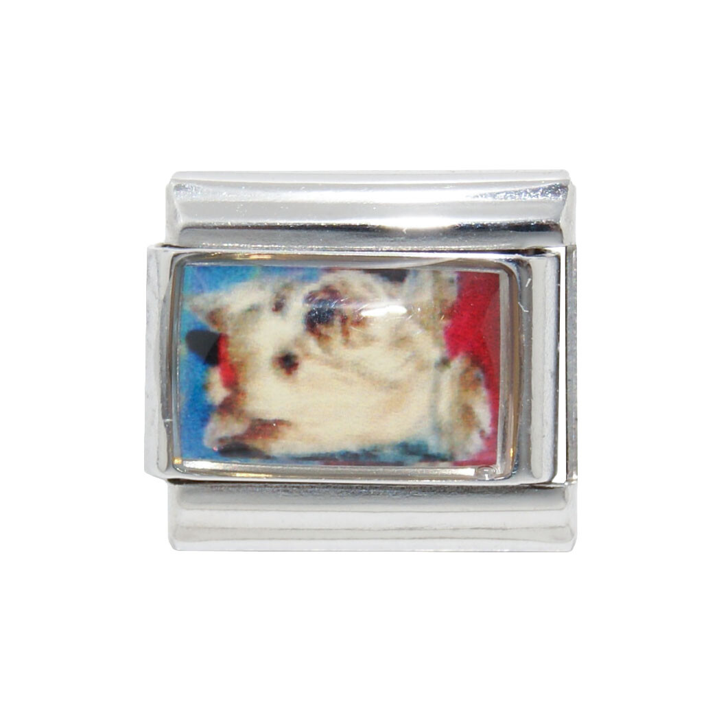 Yorkshire terrier photo Italian charm – fits 9mm classic Italian charm bracelets
