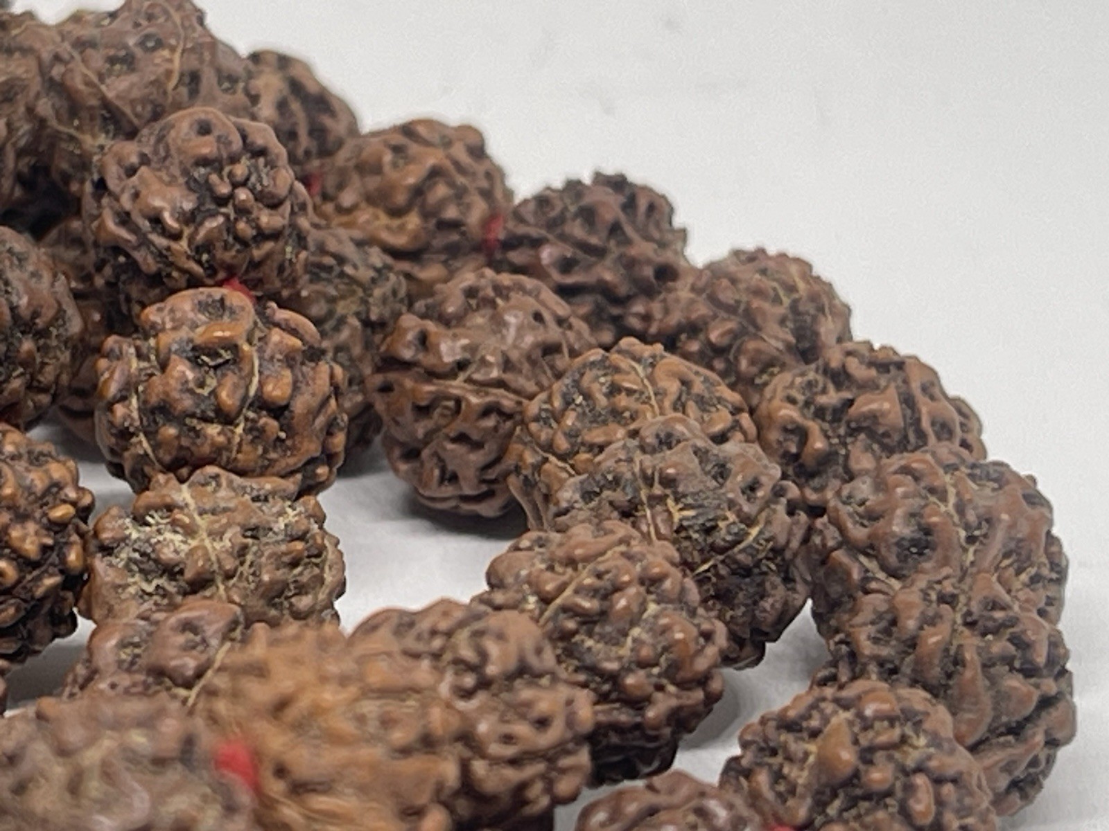 Genuine 108 Authentic 5 Mukhi Nepali Rudraksha Beads|Healing Beads| Spiritual
