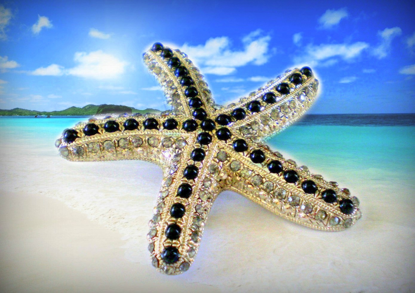 VINTAGE ANTIQUE SILVER STARFISH BEACH SEA STAR FISH BLACK BEAD PIN BROOCH~NOS