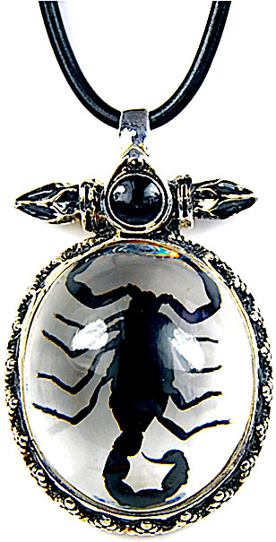 New! Real INSECT Black SCORPION NECKLACE Oval Silver Jewelry PENDANT Free Ship