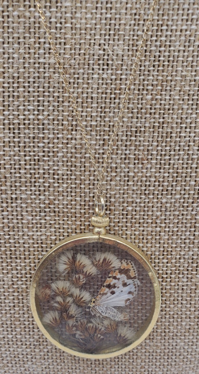 Pressed Real Butterfly Moth Flower Shadow Box Pendant Chain Gold Tone Necklace