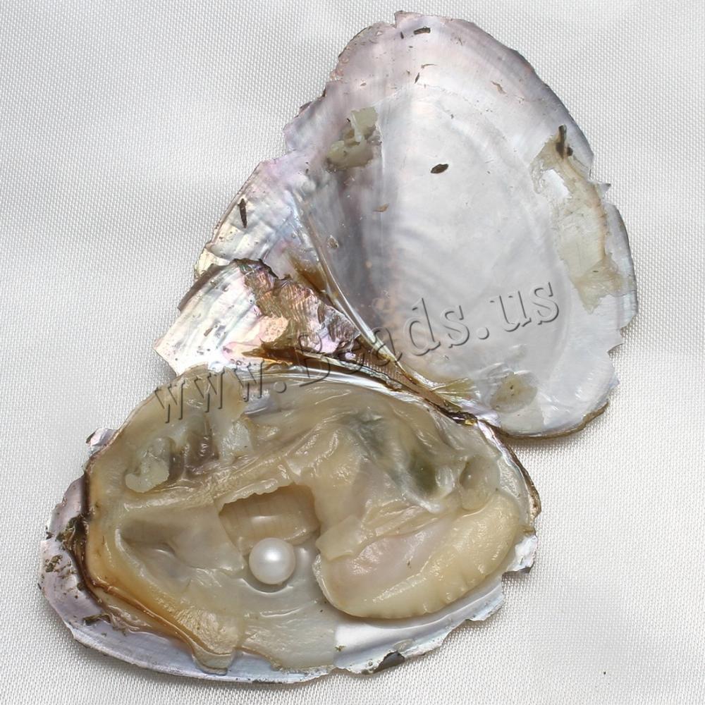 10PCS Natural Akoya Pearl Oysters Real Pearl Freshwater Pearl 7-8mm Holiday Gift