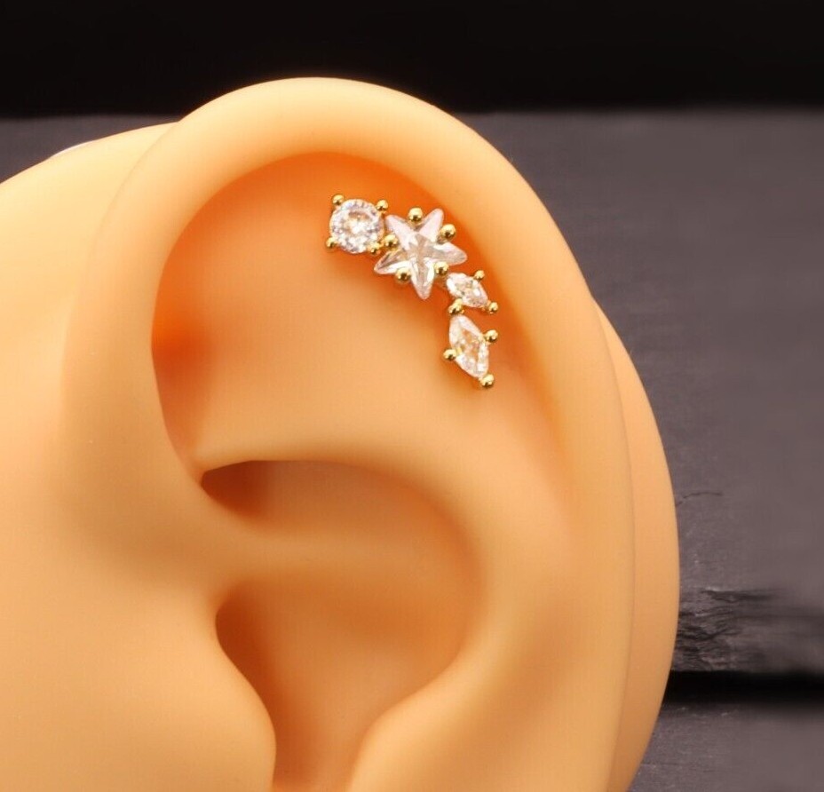 Beautiful Gold Silver Rose Cartilage Helix Conch Earrings Surgical steel Quality
