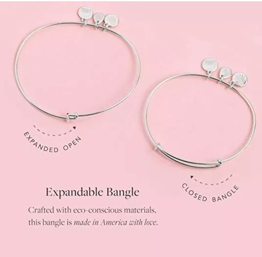 Alex & Ani July Birthstone Red Swarovski Crystal Charm Bracelet – Silver ✨