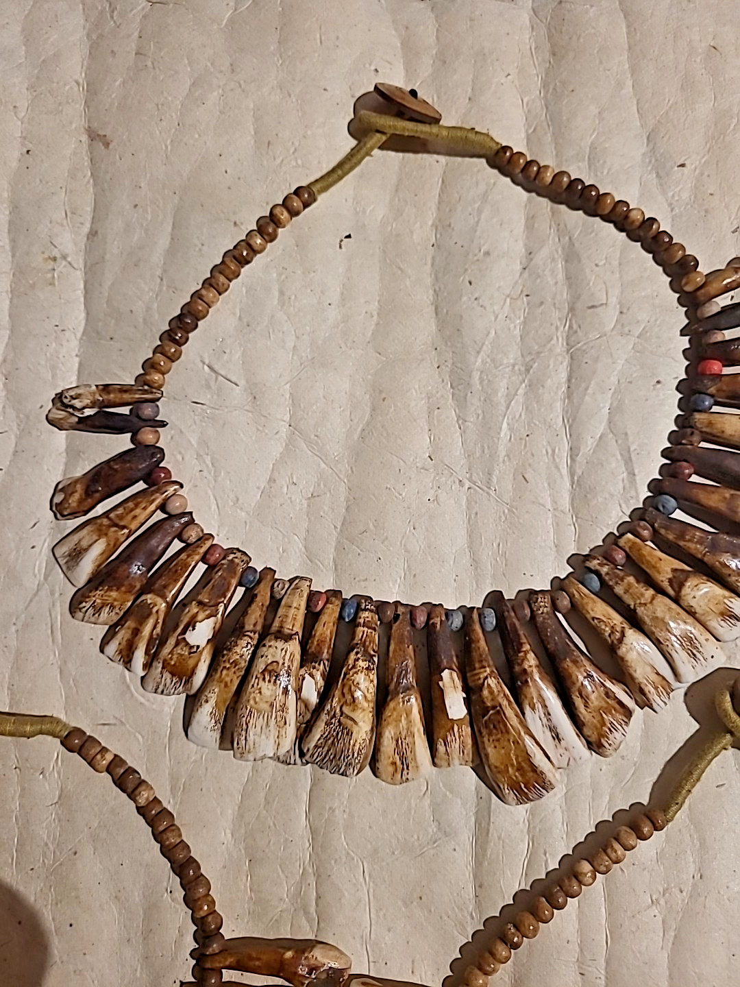 Buffalo Tooth Necklaces: 3 Pieces