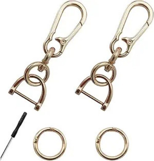 2PCS Car Keychain, Detachable Horseshoe Shape D-Ring Spring Ring Color: Golden