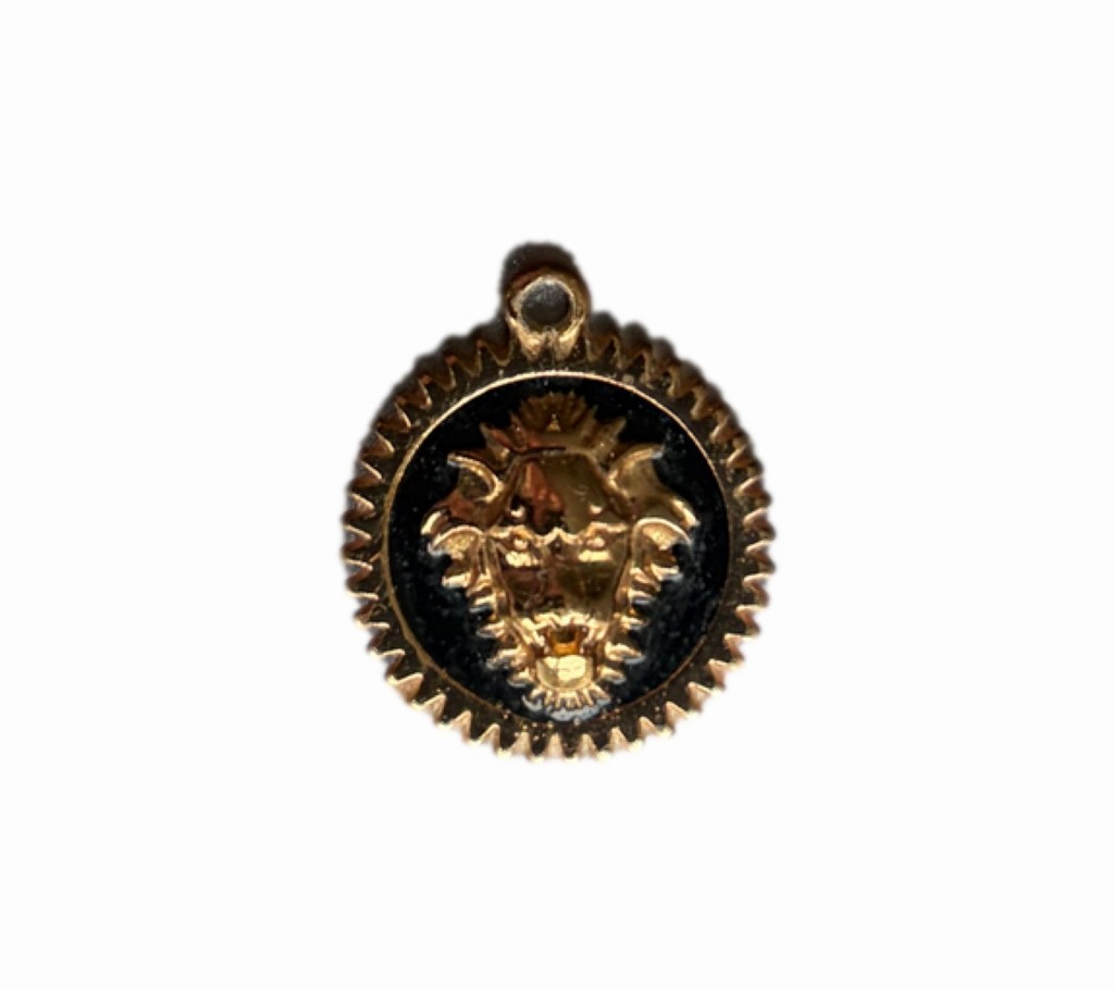 Women’s Gold and Black Lion Head Pendant Necklace