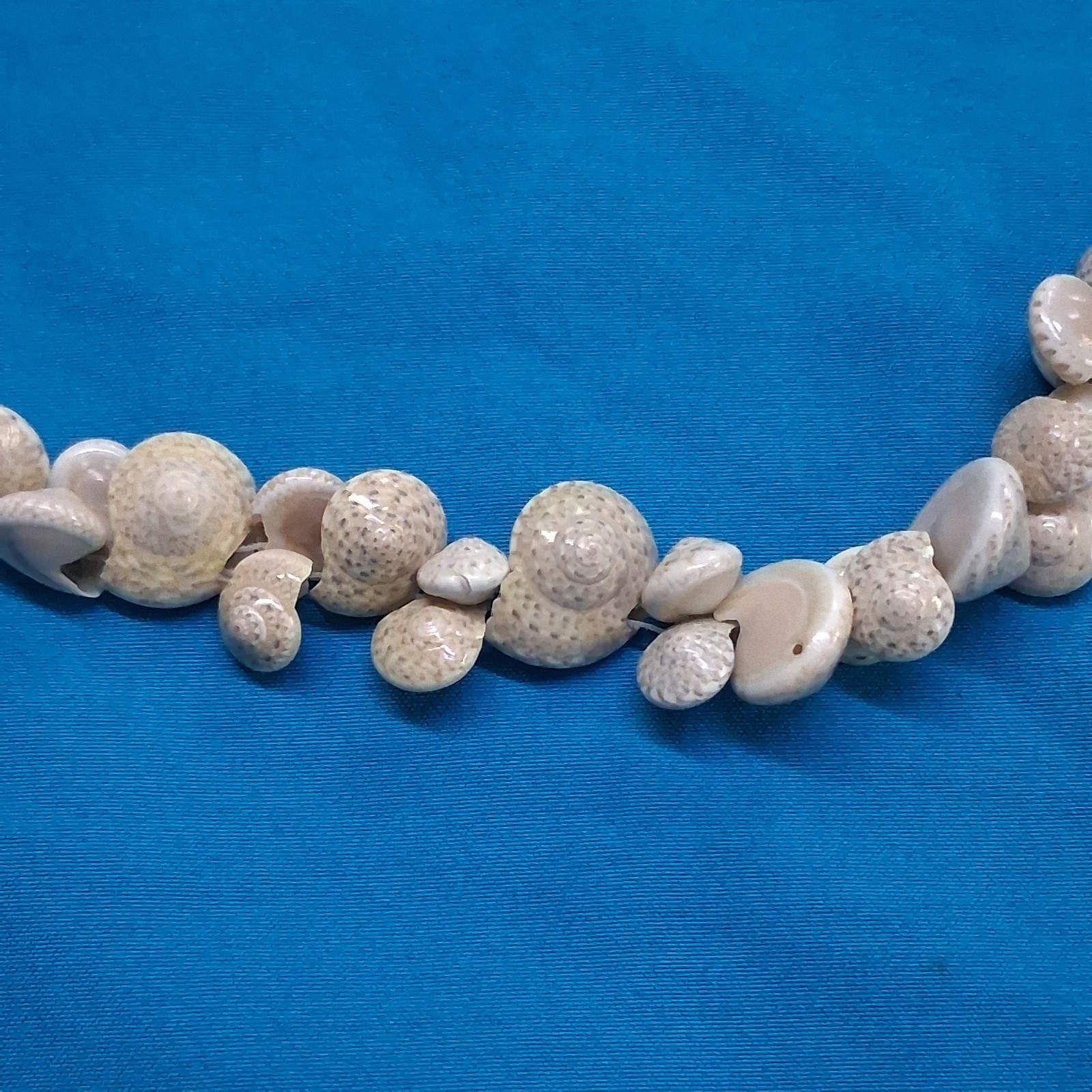 Tan Glossy Natural Speckled Snail Shell Necklace