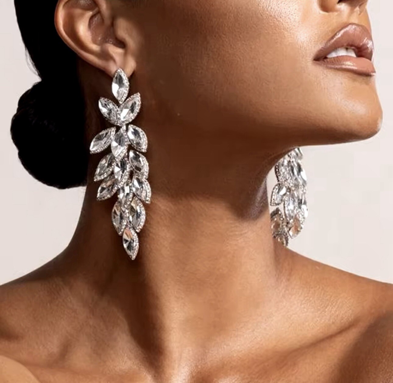 Fancy Long Earrings