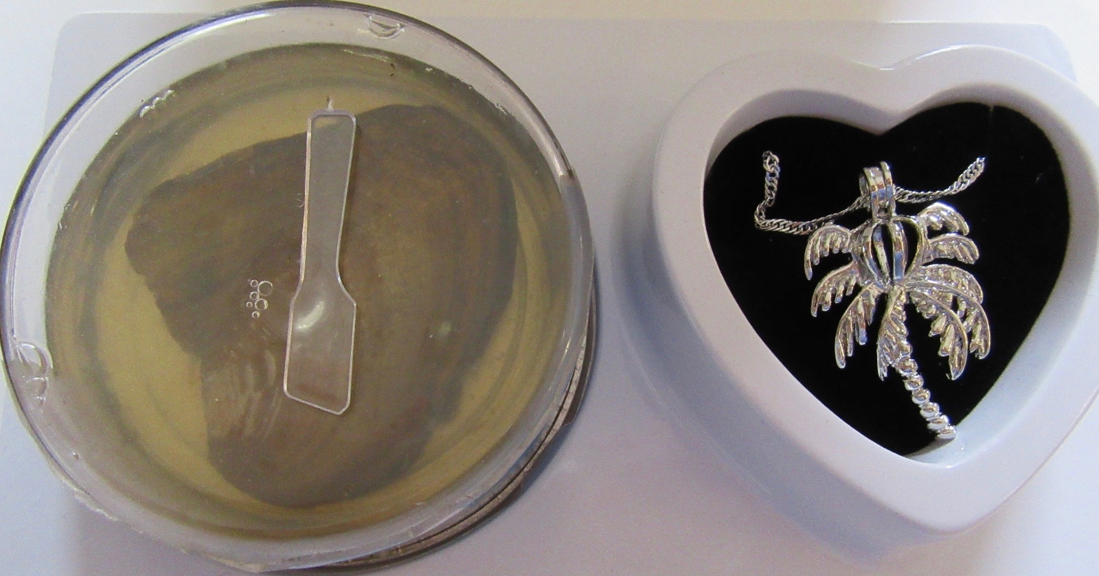 Island Pearl-Palm Tree Necklace & Pendant- genuine pearl in oyster pretty box
