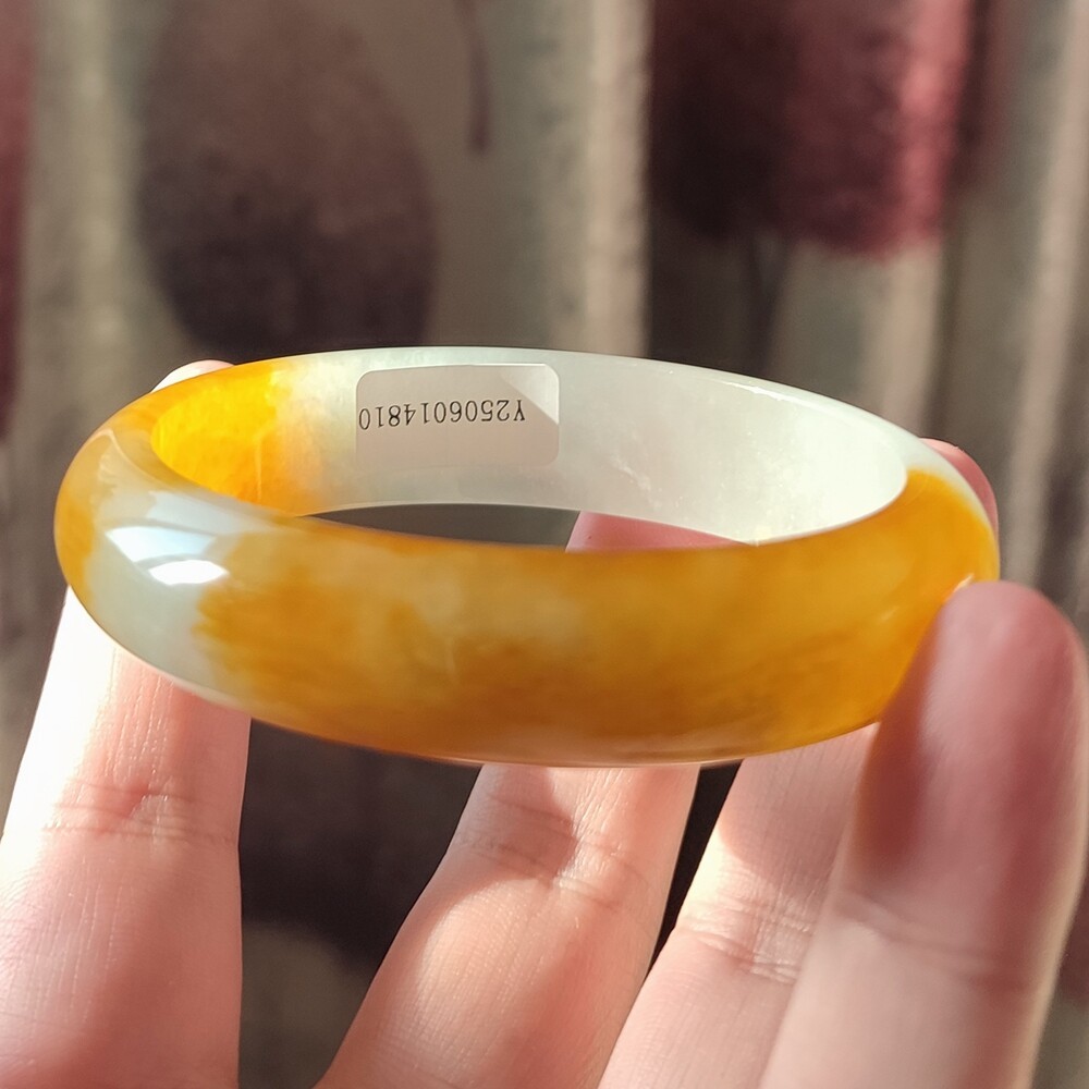 Certified Grade A Yellow 59mm Natural Burma Jade jadeite Bangle Bracelet 4810