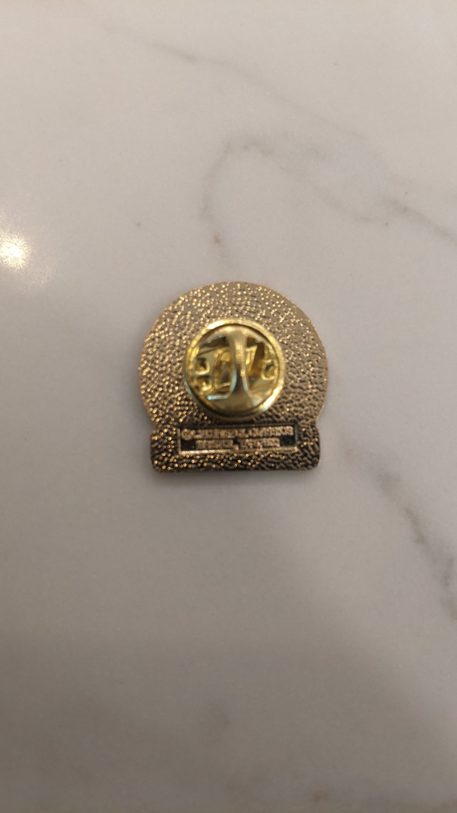 Custer State Park 41st Buffalo Roundup 2006 Pin L.W. Bristol Made In USA