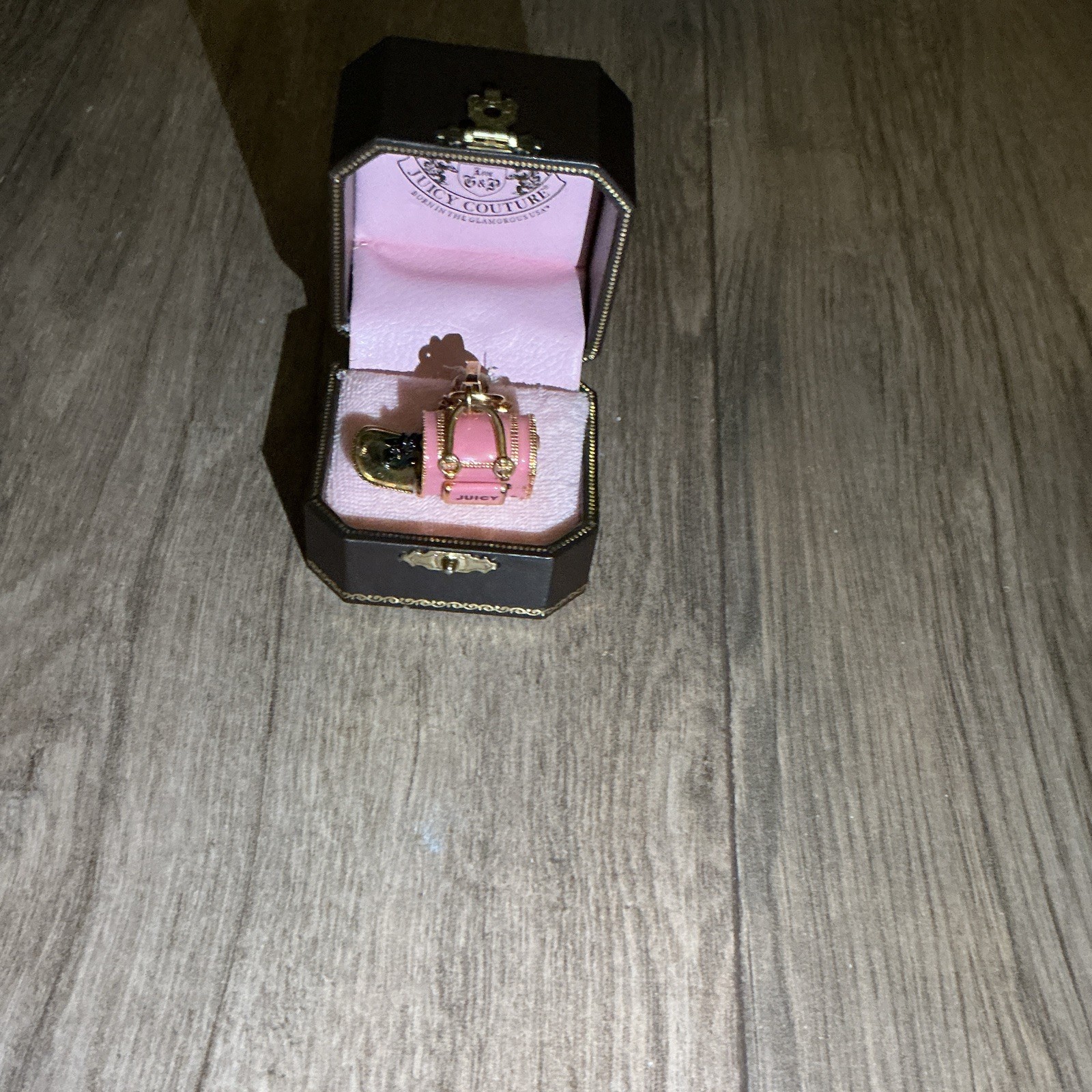 Juicy Couture Gold starter bracelet and rare dog carrier charm from early 2000s