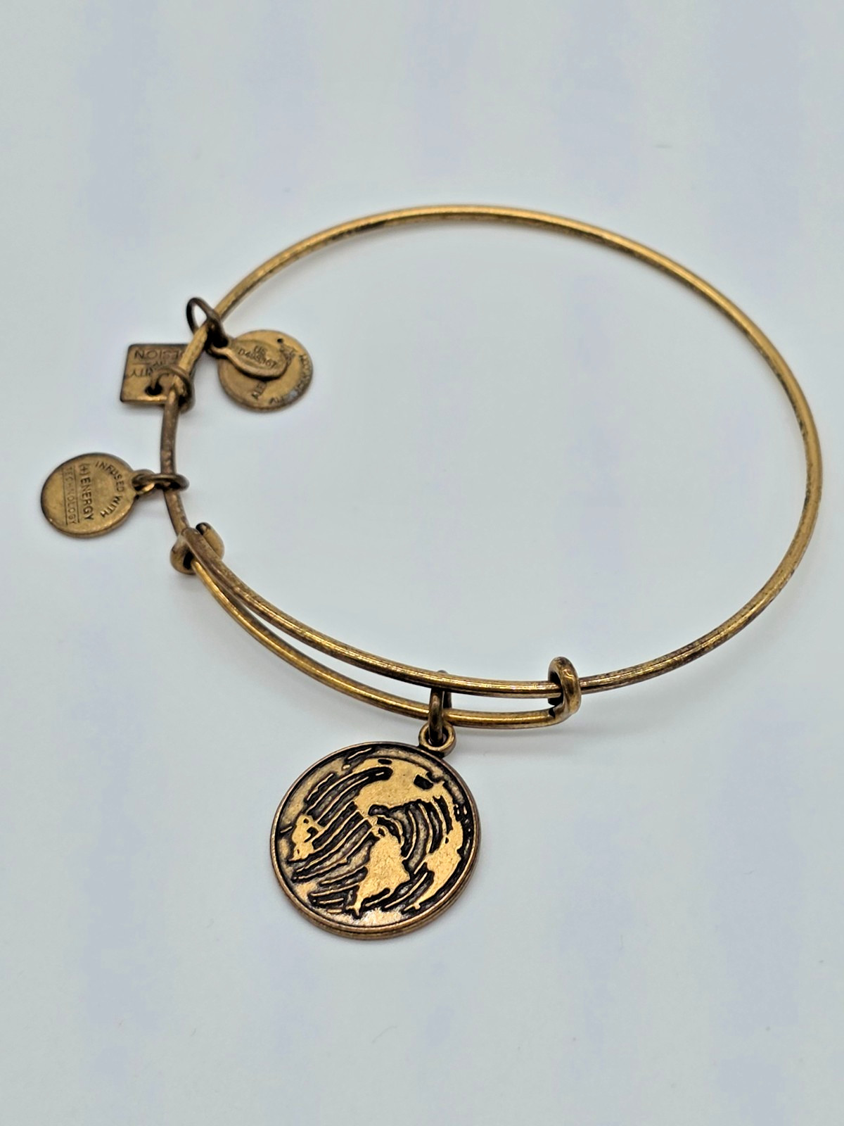 Alex and Ani GENERATION ON Charity by Design Rafaelian Gold Charm Bangle