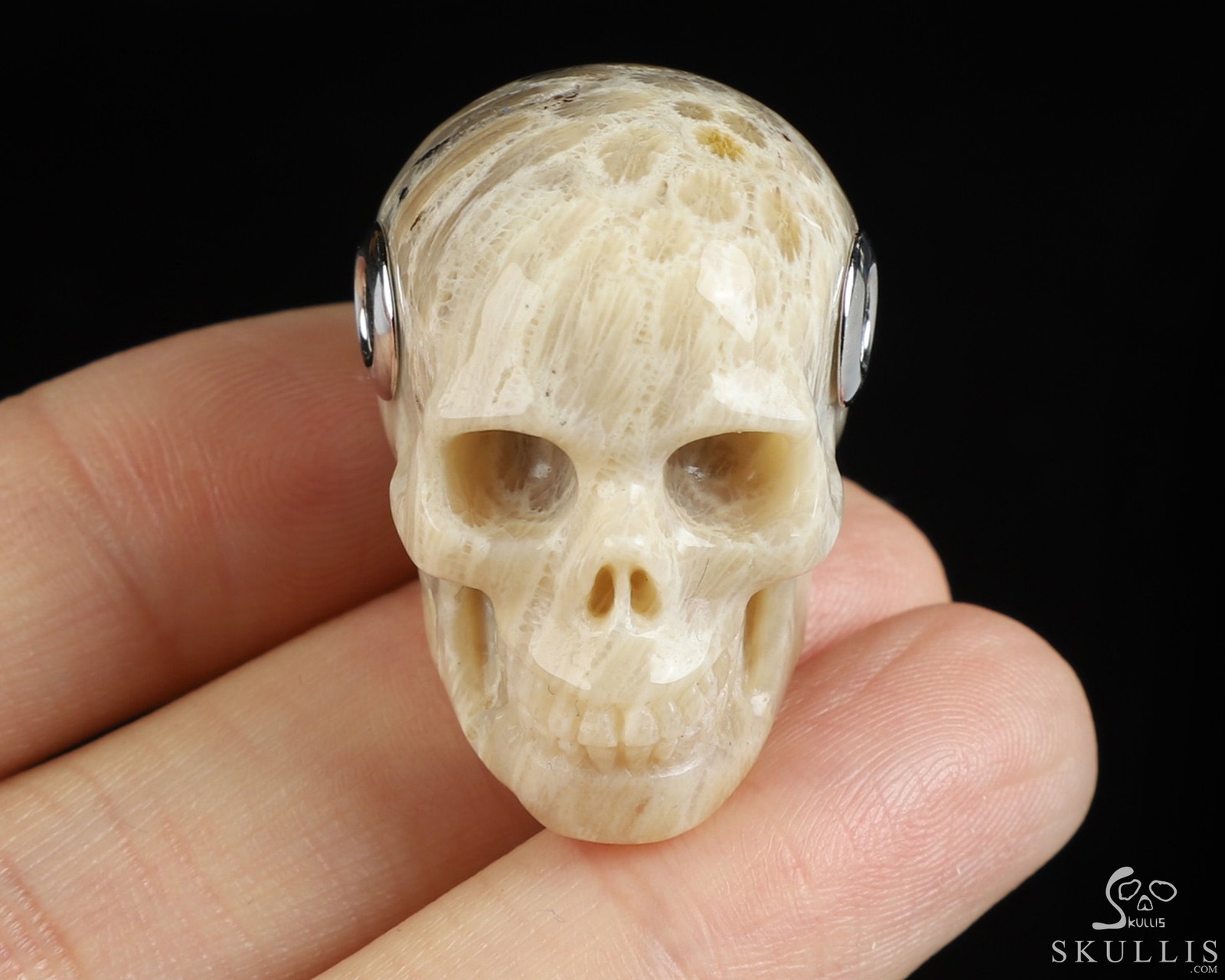 Necklace of 1.1″ Coral Fossil Hand Carved Crystal Skull Pendant, Skull Jewelry