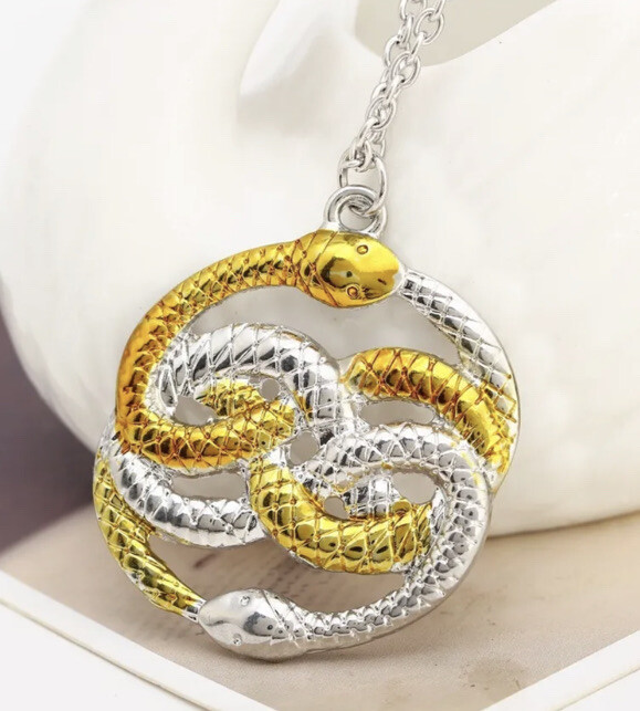 Never Ending Story Necklace 20” Chain Ouroboros Nordic Talisman Two Snake Auryn