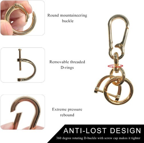2PCS Car Keychain, Detachable Horseshoe Shape D-Ring Spring Ring Color: Golden